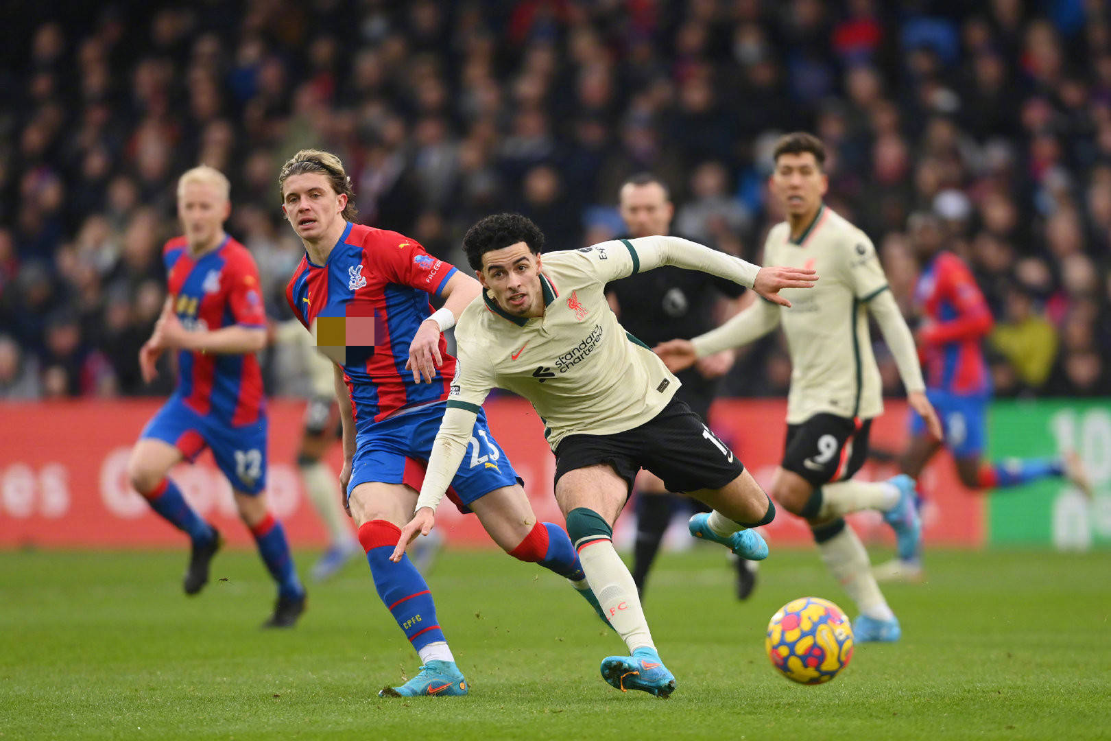 皇家社会时 皇家社会时