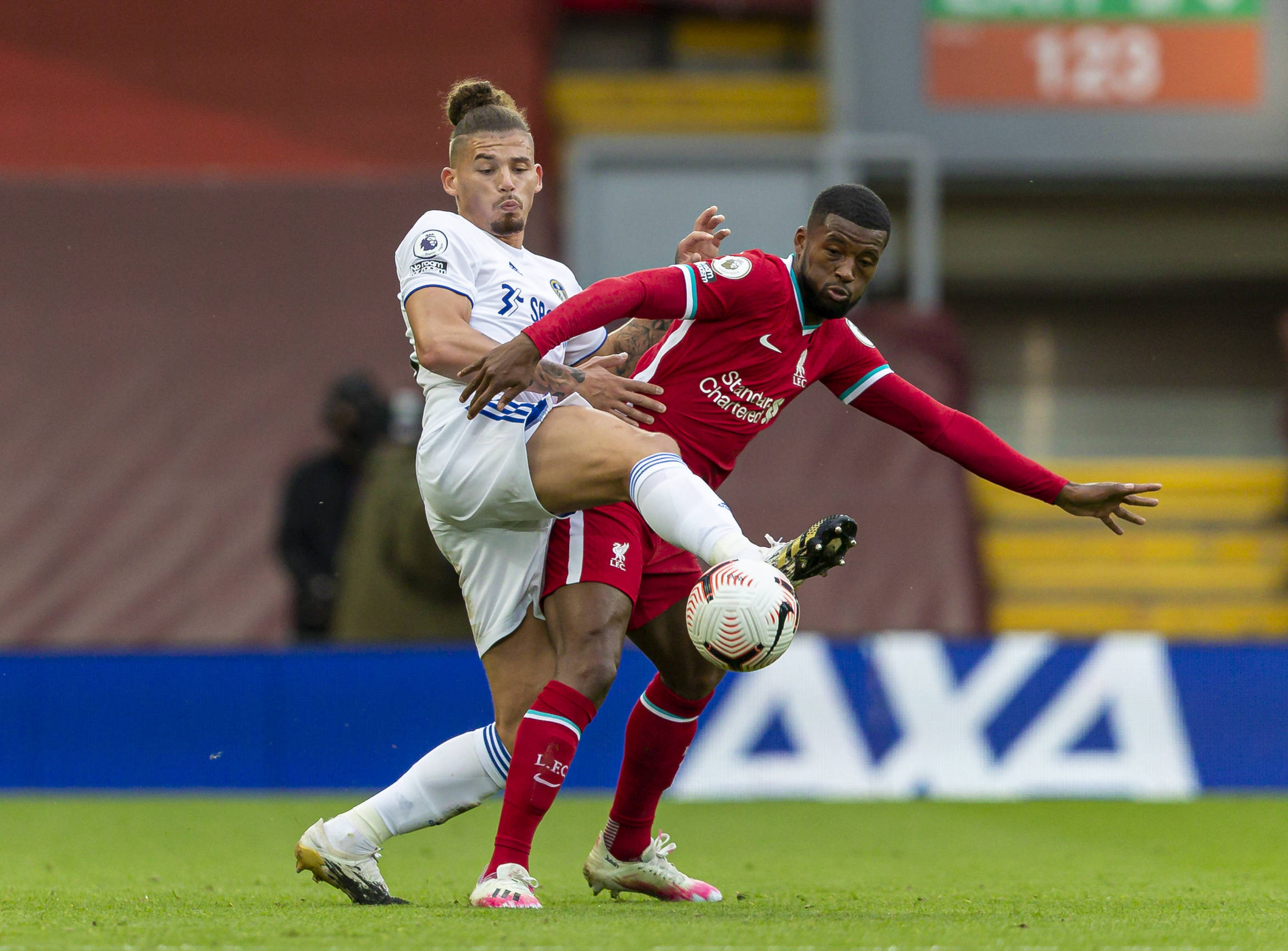 他随即选择 他随即选择