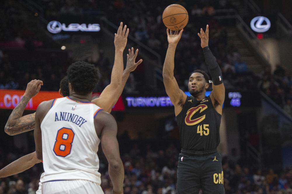 冬季人气掌 冬季人气掌