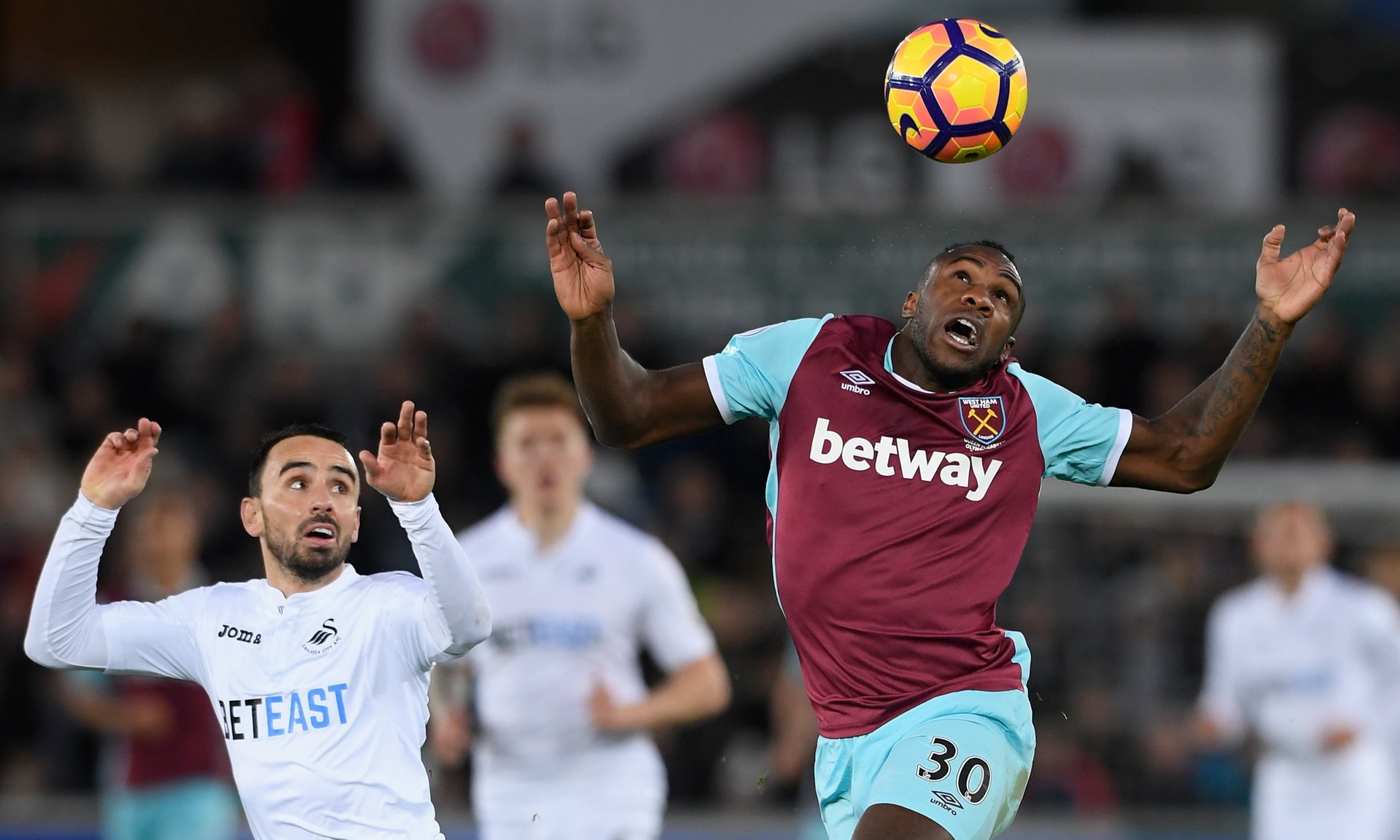 回到母队主 回到母队主